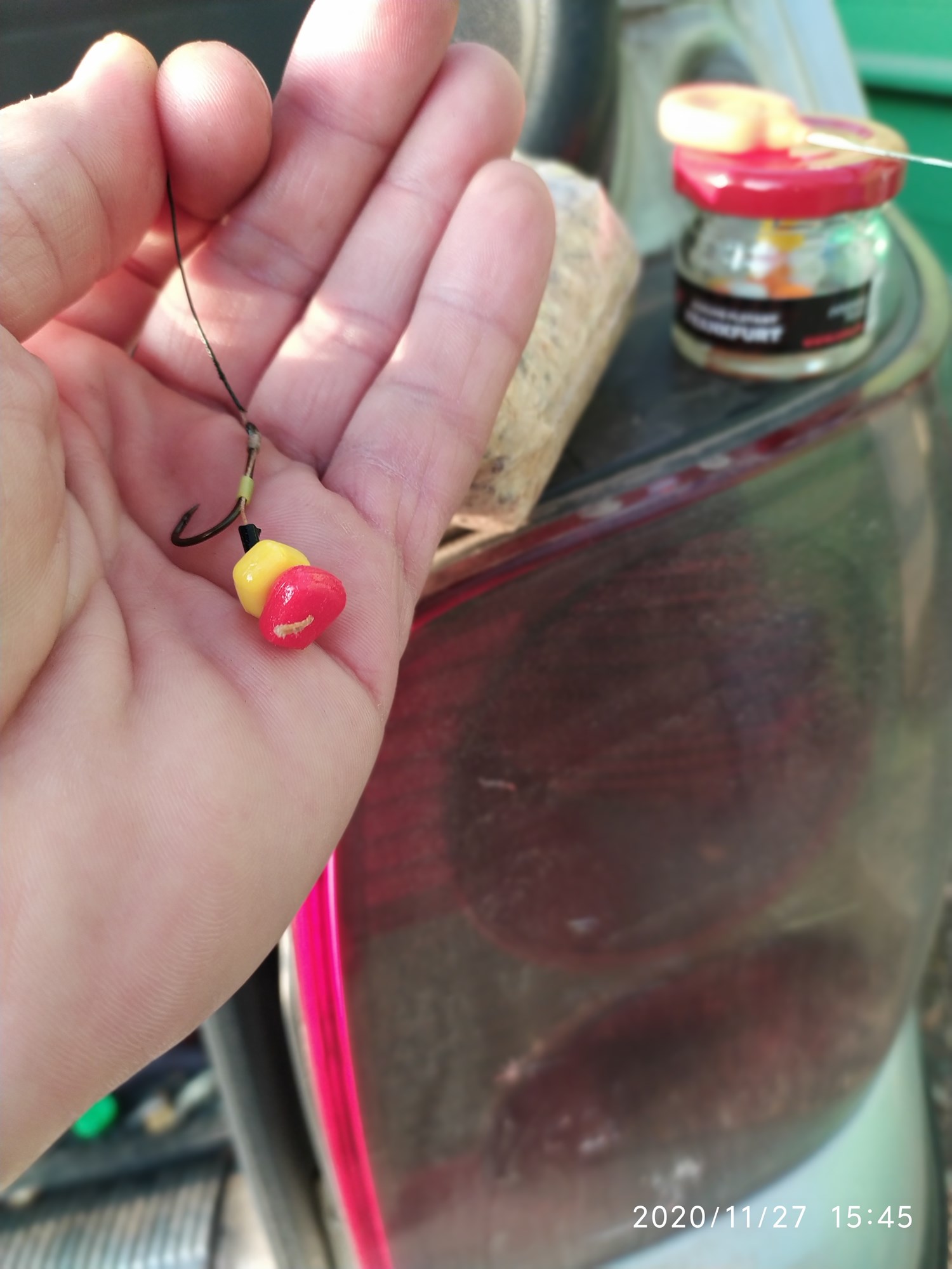 ISOLA DEL PESCATORE 27 nov. - IMG20201127154520.jpg